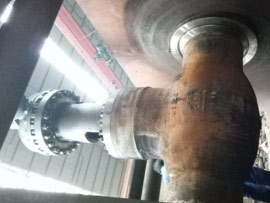 High temperature high pressure stop check valve