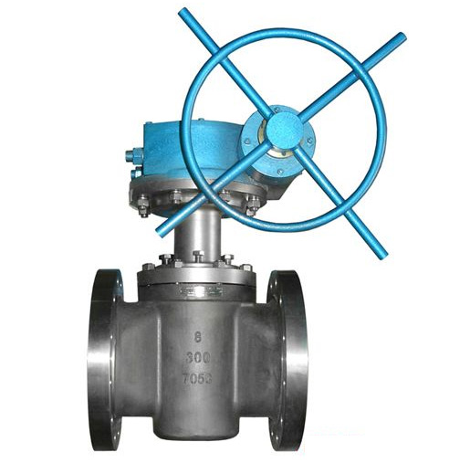 Titanium plug valve